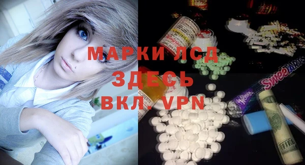 хмурый Арсеньев