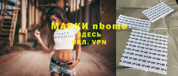хмурый Арсеньев