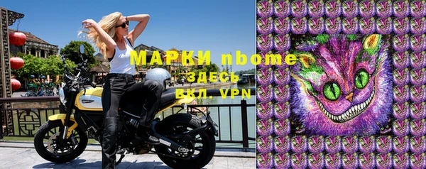 хмурый Арсеньев