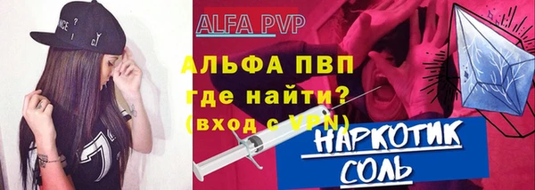 хмурый Арсеньев