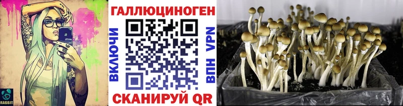 Псилоцибиновые грибы Magic Shrooms  Купить закладки  Баксан 